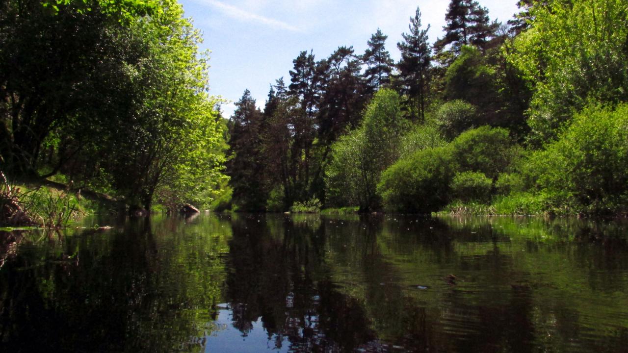 Rivière le Chapeaurou