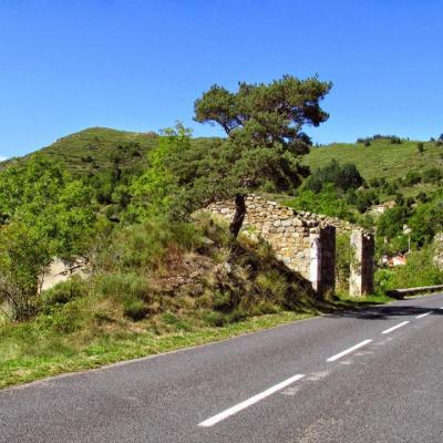 Commune de Saint Bonnet de Montauroux