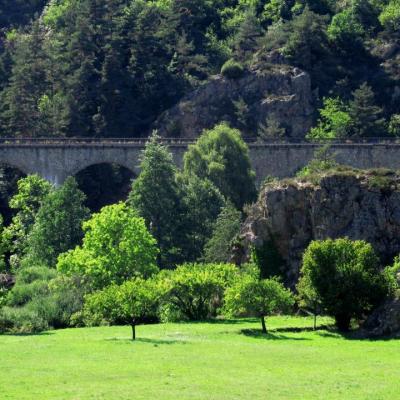 Gorge de l'allier