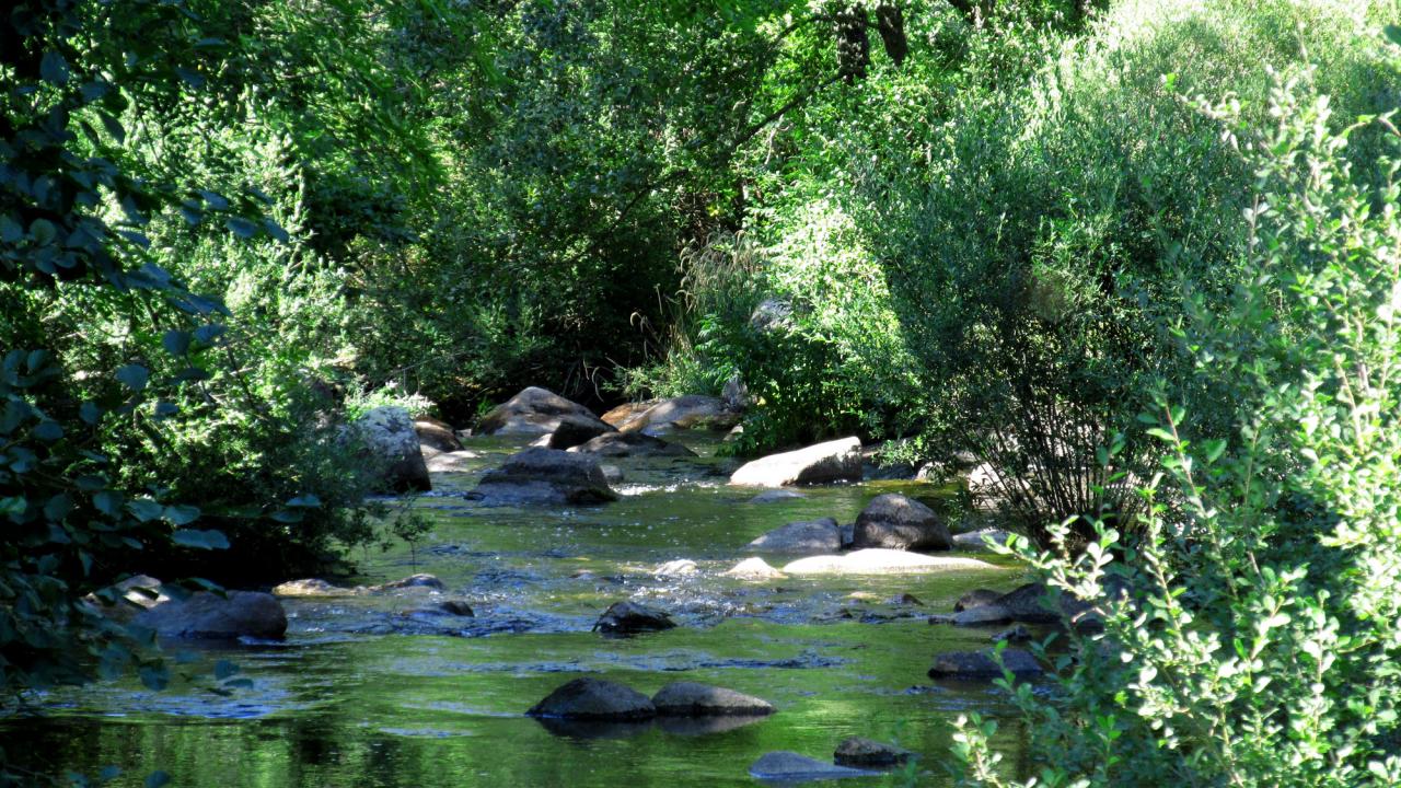 Rivière le chapeauroux