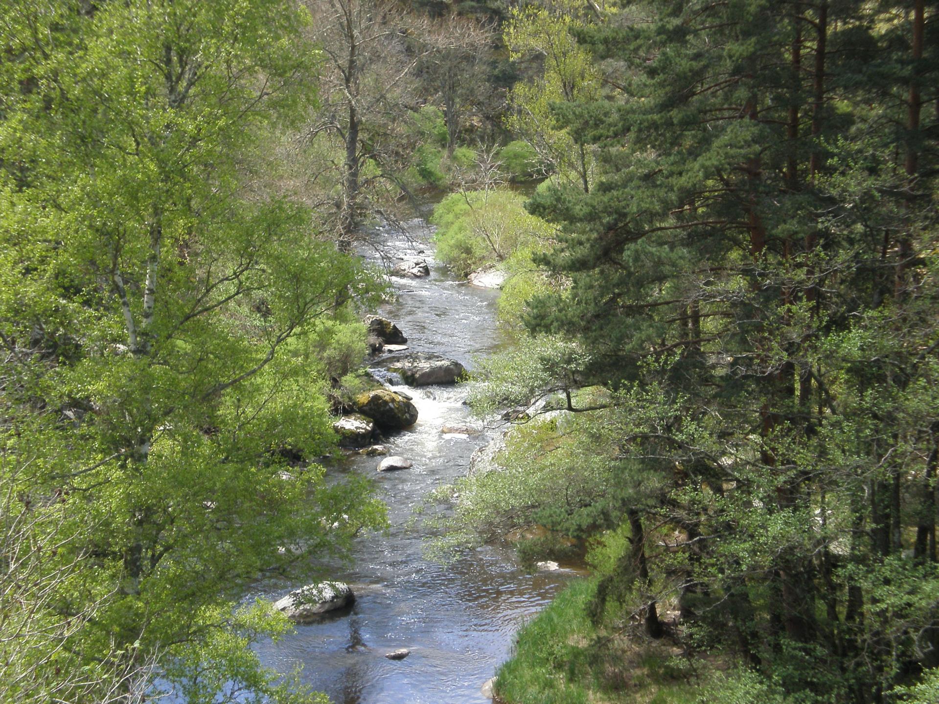 La rivière Le Chapeauroux