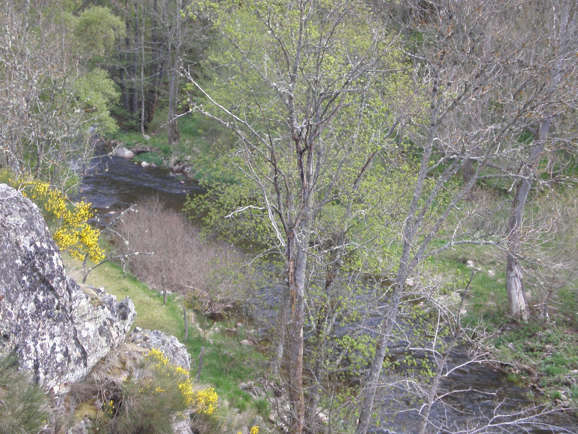 La rivière Le Chapeauroux