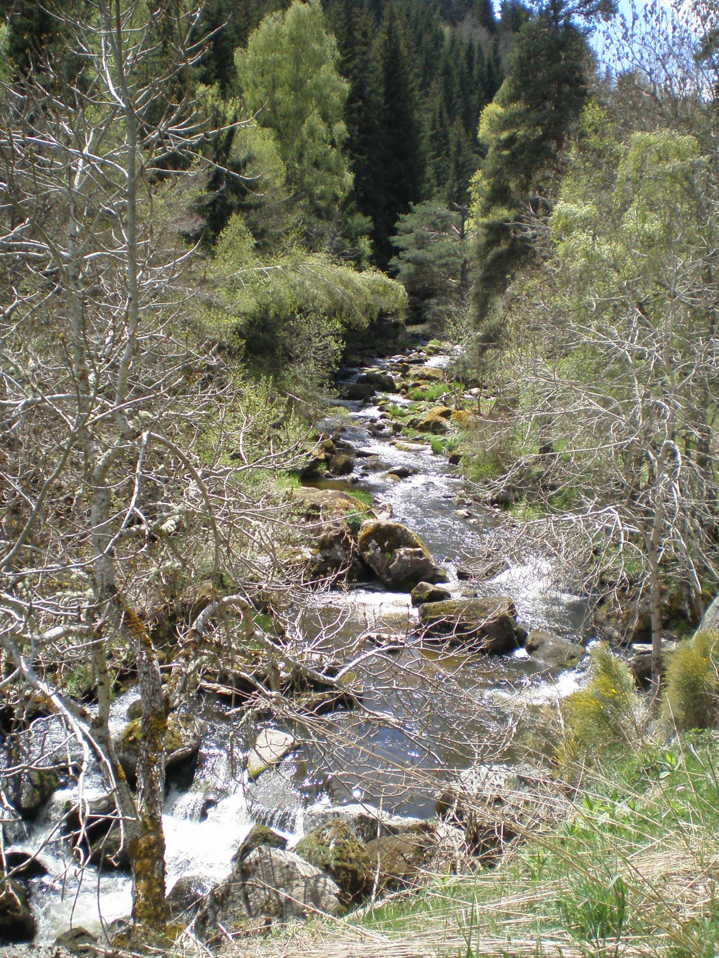 Le ruisseau Le Grandrieu